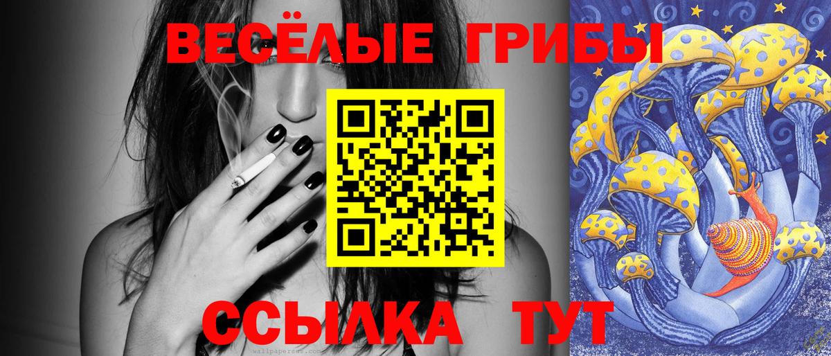 Псилоцибиновые грибы Cubensis Кузнецк